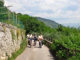 Immagine descrittiva per percorso