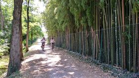 Immagine descrittiva per percorso