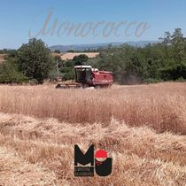 Immagine descrittiva per percorso
