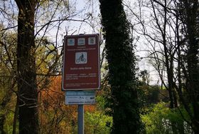 Immagine descrittiva per percorso