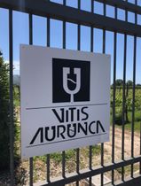 Immagine descrittiva per percorso