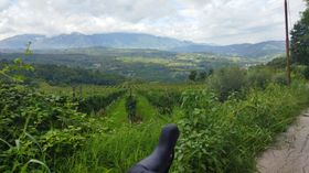 Immagine descrittiva per percorso