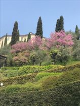 Immagine descrittiva per percorso