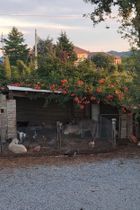 Immagine descrittiva per percorso