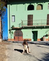 Immagine descrittiva per percorso
