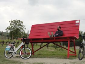 Immagine descrittiva per percorso