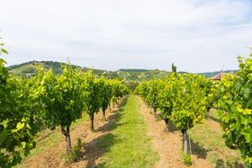 Immagine descrittiva per percorso