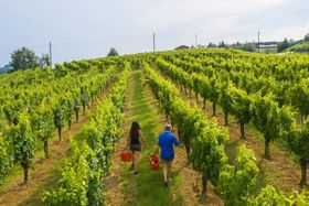 Immagine descrittiva per percorso