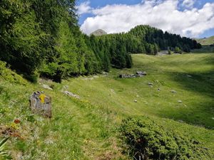 Immagine descrittiva per percorso