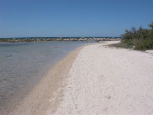 Immagine descrittiva per percorso
