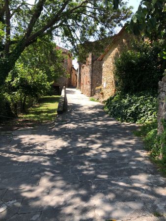 Immagine descrittiva per percorso