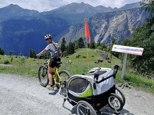 Immagine descrittiva per percorso
