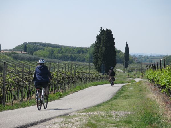 Immagine descrittiva per percorso