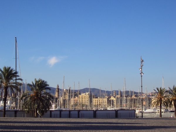 Immagine descrittiva per percorso