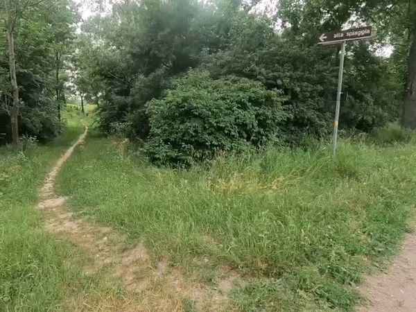 Immagine descrittiva per percorso