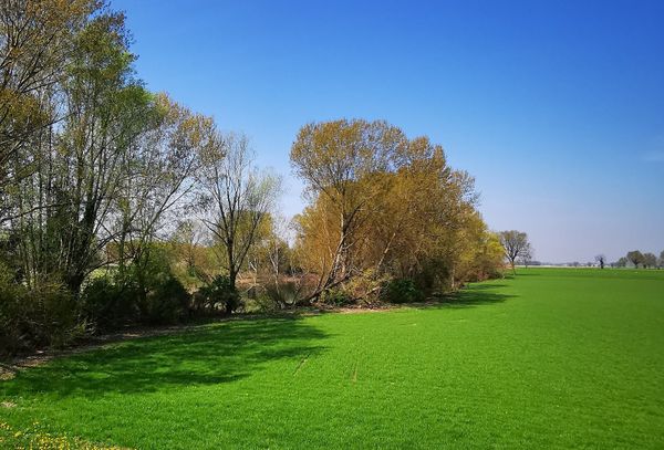 Immagine descrittiva per percorso