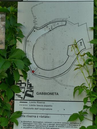 Immagine descrittiva per percorso