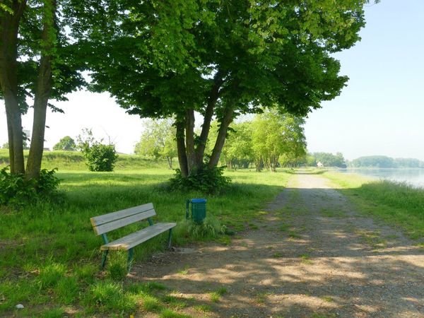 Immagine descrittiva per percorso