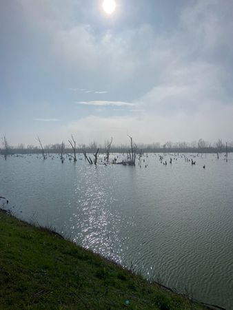 Immagine descrittiva per percorso