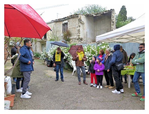 Immagine descrittiva per percorso