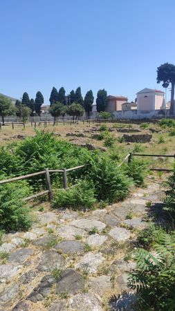 Immagine descrittiva per percorso