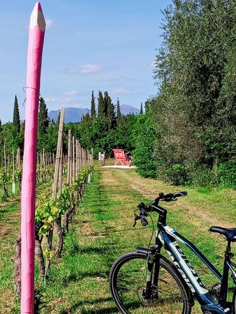 Immagine descrittiva per percorso
