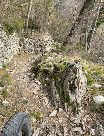 Immagine descrittiva per percorso