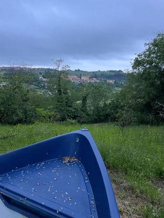 Immagine descrittiva per percorso