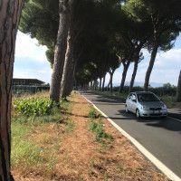 Immagine descrittiva per percorso
