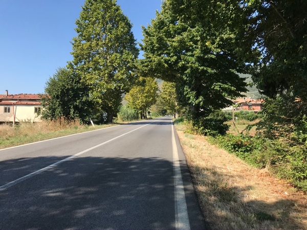 Immagine descrittiva per percorso