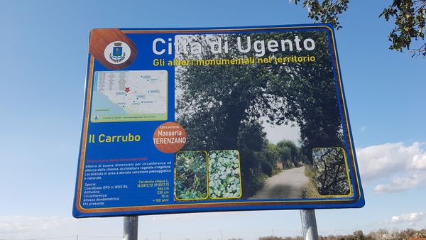 Immagine descrittiva per percorso