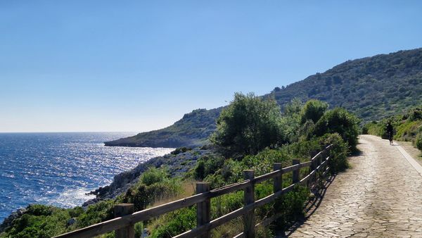 Immagine descrittiva per percorso