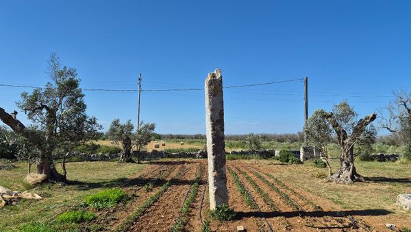Immagine descrittiva per percorso
