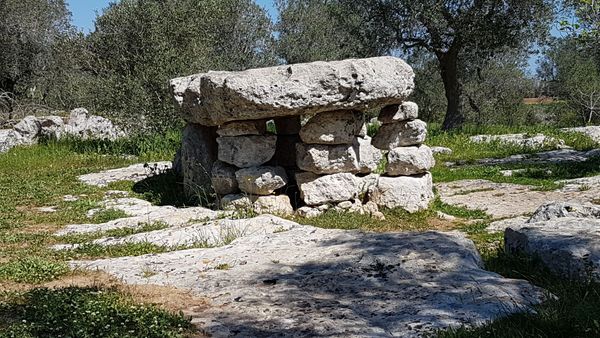 Immagine descrittiva per percorso