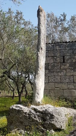 Immagine descrittiva per percorso